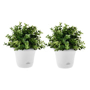 SOGA 19.5 cm White Plastic Plant Pot Self Watering Planter Flower Bonsai Indoor Outdoor Garden Decor Set of 2