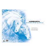 Warwick Drawing Refill 17C10 A2 20 Leaf Punched 120gsm - Cafe Supply