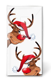 TISSUES - Rudolph - Cafe Supply