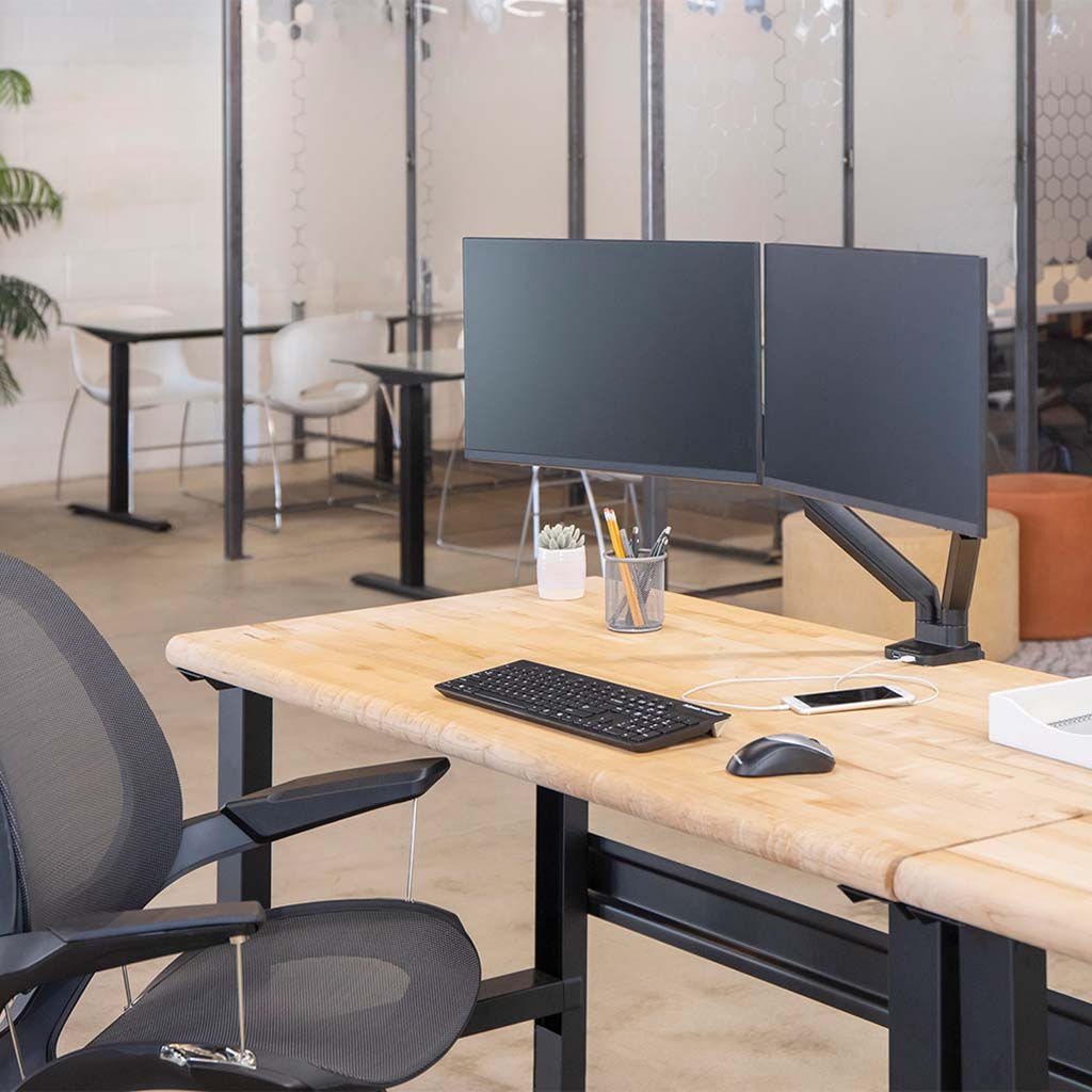 Fellowes Monitor Arm Platinum Dual