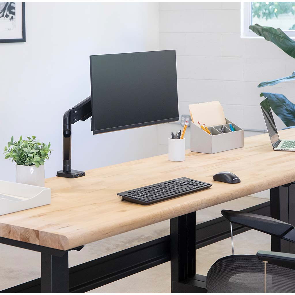 Fellowes Monitor Arm Platinum Single