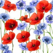 COCKTAIL - Summerfield - Cafe Supply