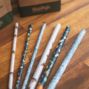 6mm Regular Art Series BioStraw - Cafe Supply