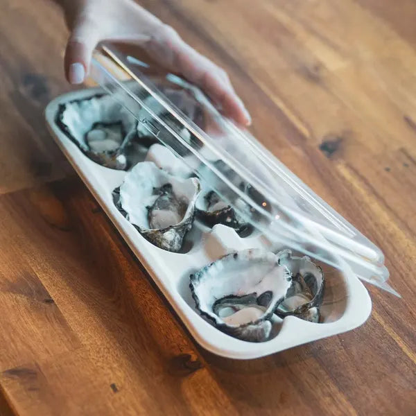Plant Fibre Oyster Tray Lid