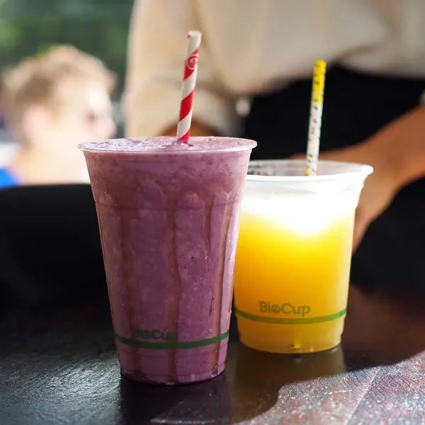 6mm Regular Red Stripe BioStraw - Cafe Supply