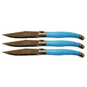 VERDIER FRUIT KNIFE BLUE (3) - Cafe Supply
