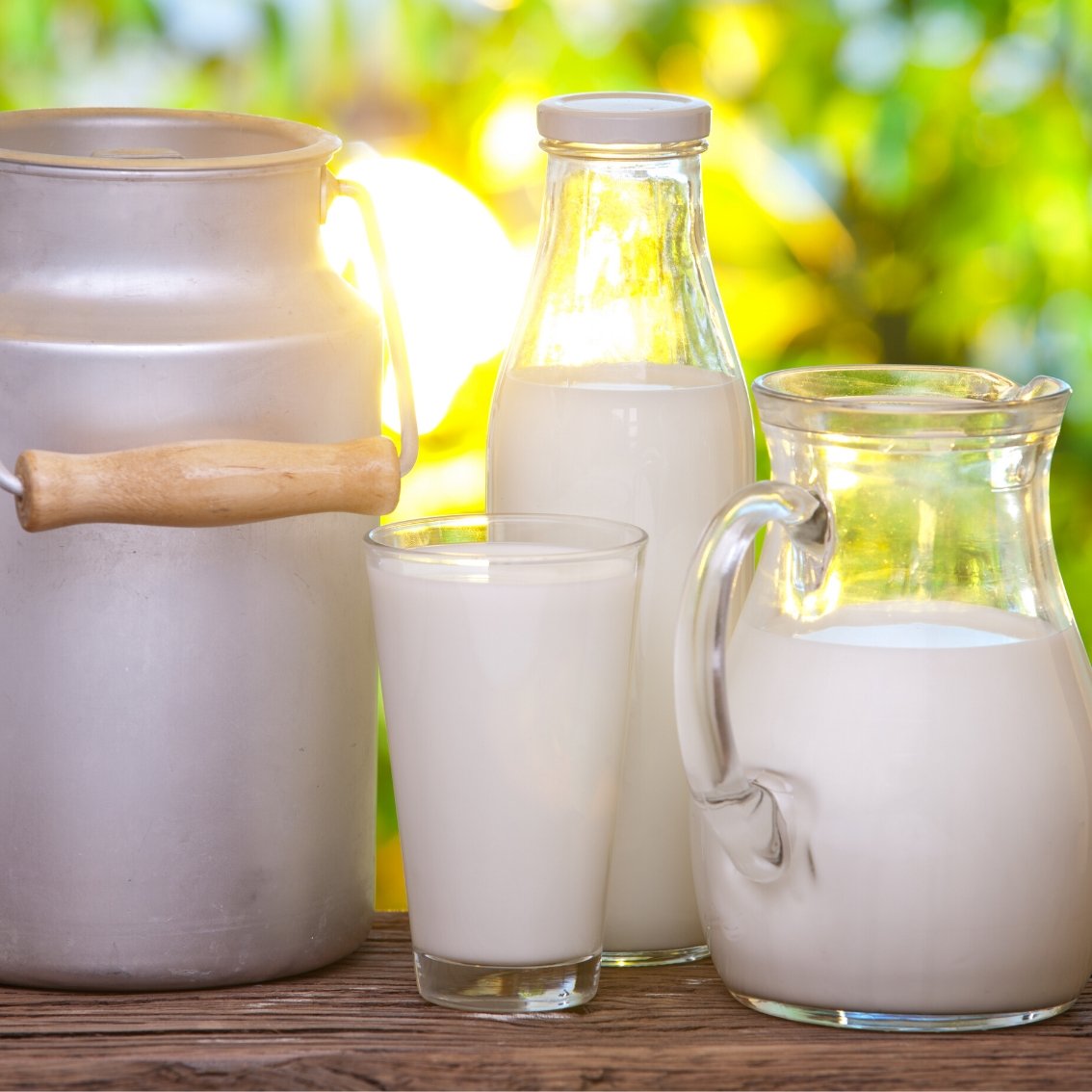 Jugs & Bottles - Cafe Supply