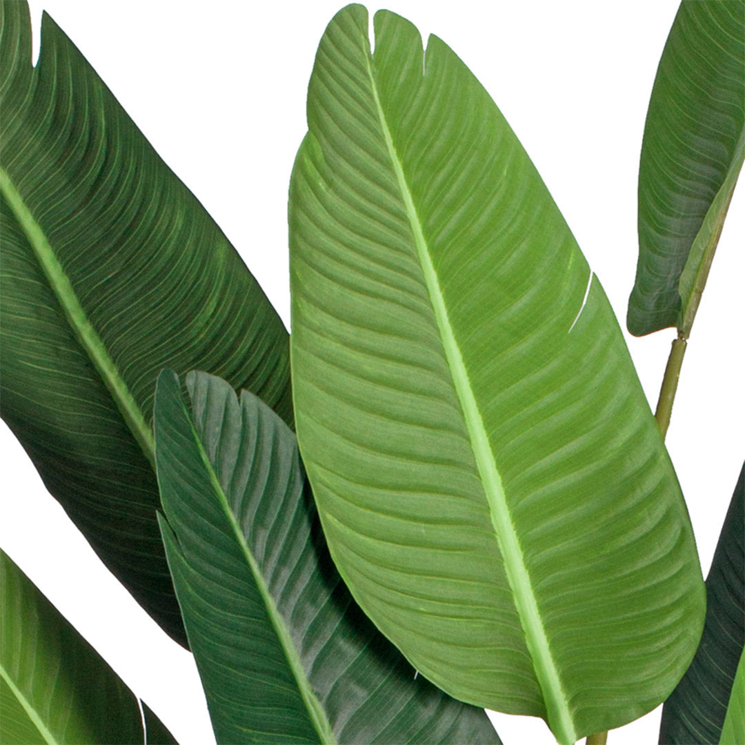 SOGA 4X 245cm Artificial Giant Green Birds of Paradise Tree Fake Tropical Indoor Plant Home Office Decor