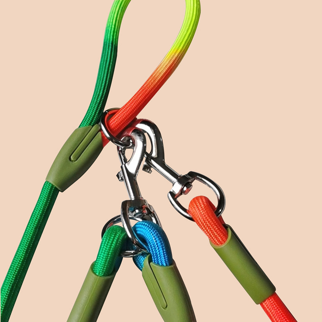 SOGA 2X 220cm Multifunction Hands-Free Rope Pet Cat Dog Puppy Double Ended Leash for Walking Training Tracking Obedience Rainbow