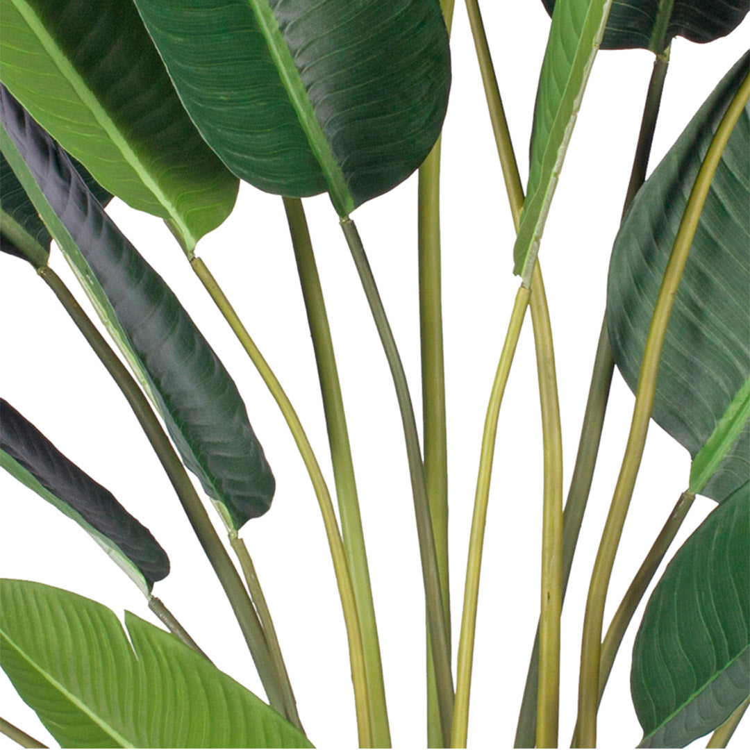 SOGA 2X 245cm Artificial Giant Green Birds of Paradise Tree Fake Tropical Indoor Plant Home Office Decor