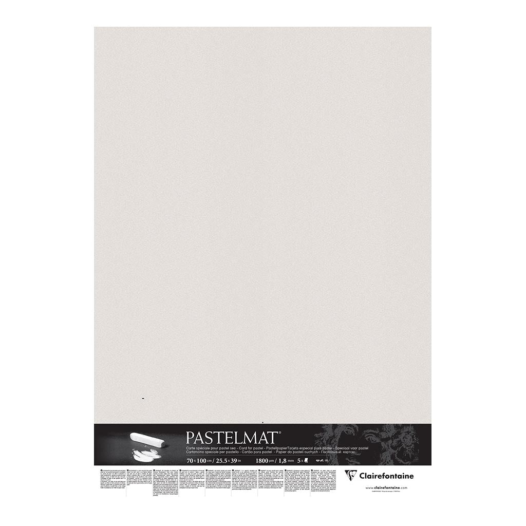 Pastelmat Mount Board 70x100cm Clear Grey, Pack of 5