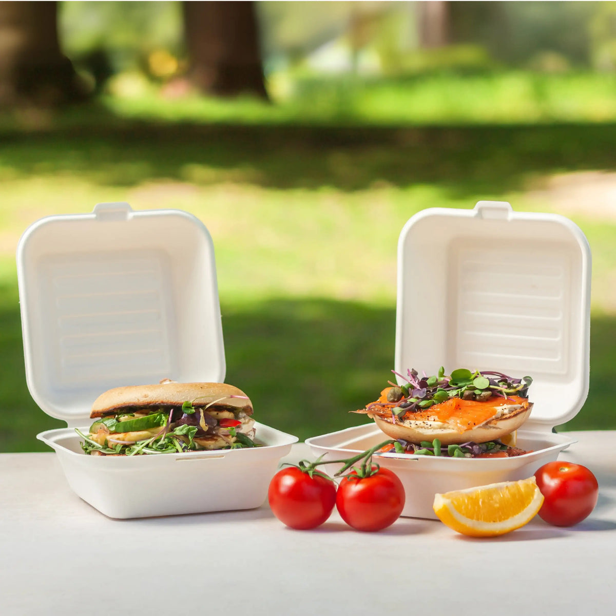 Green Choice Sugar Cane Burger Box Regular