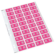 Codafile Label Alpha R 25mm Pack 5 Sheets - Cafe Supply