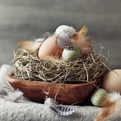 LUNCHEON - Rustic feathers - Cafe Supply