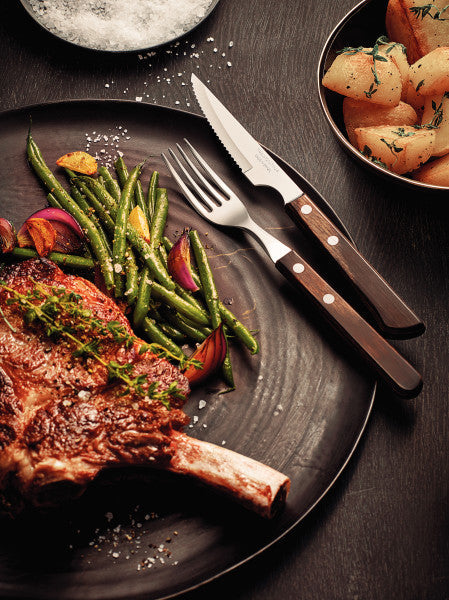 Tramontina Churrasco Steak Knife Serrated Narrow Blade Polywood Brown 4" , 10cm