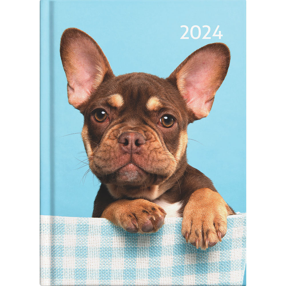 Collins Diary A53 Cats & Dogs Even Year