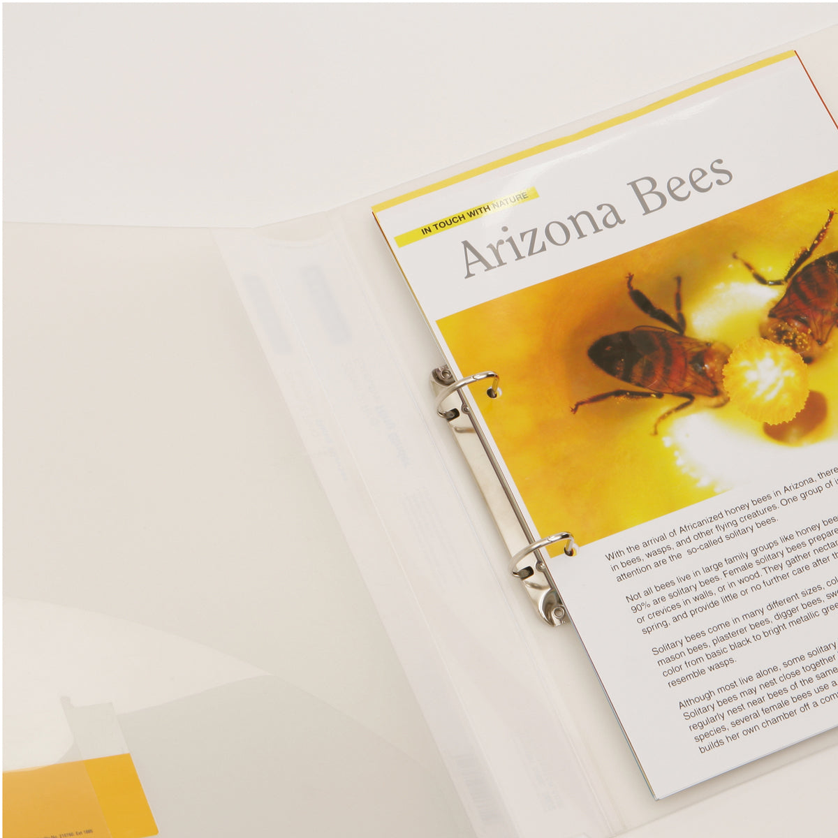 Rapesco Ring Binder 2/25 A4 Clear - Cafe Supply