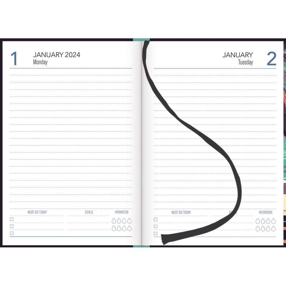 Collins A51 Kiwi Country Day to Page Diary Even Year