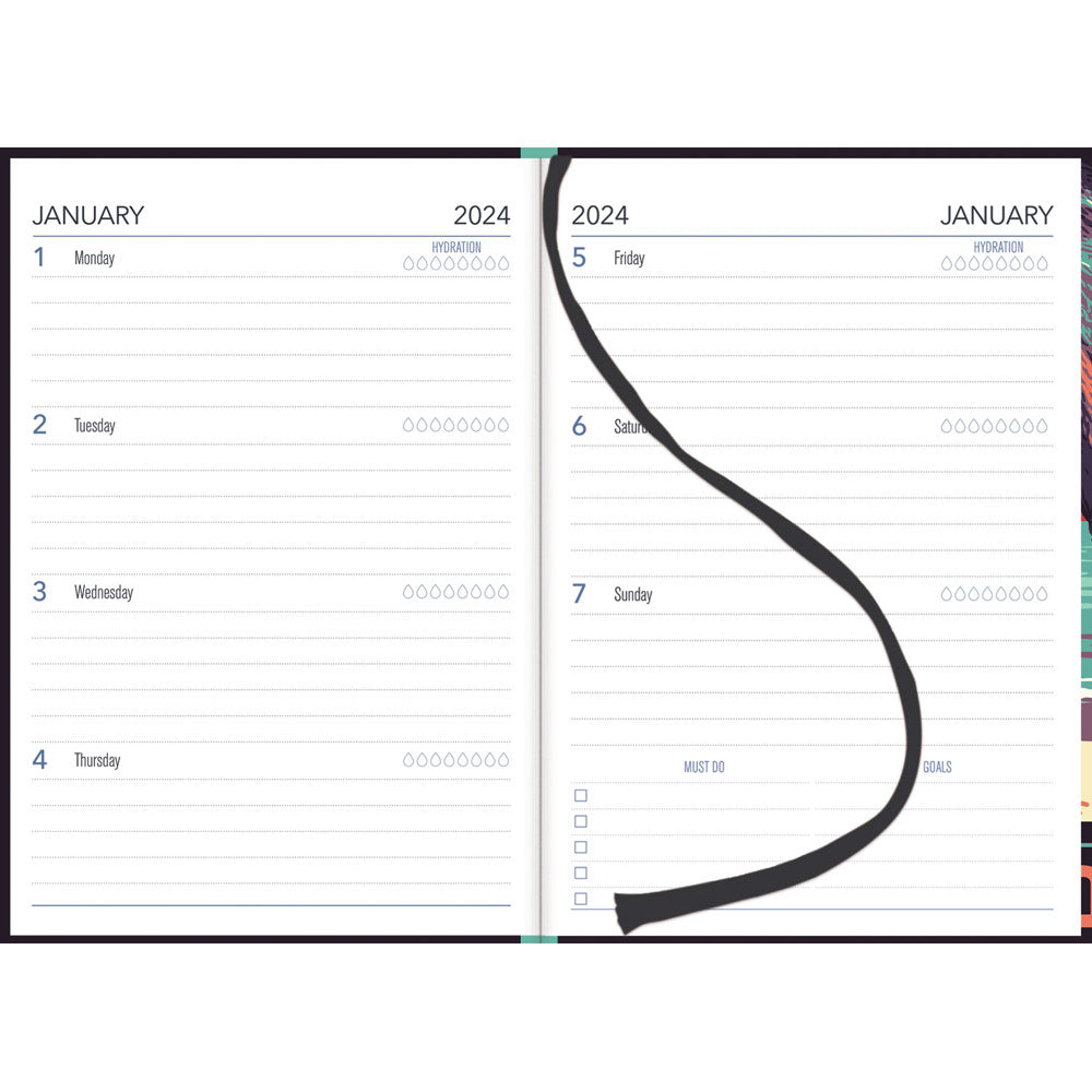 Collins A53 Kiwi Country Week to View Diary Even Year