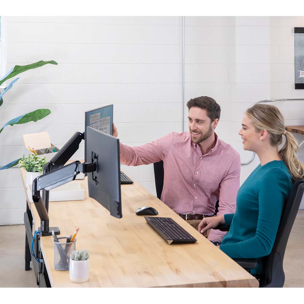 Fellowes Monitor Arm Platinum Dual