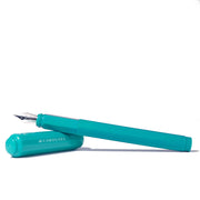 Ferris Wheel Press Fountain Pen Carousel Tumultuous Tides Medium