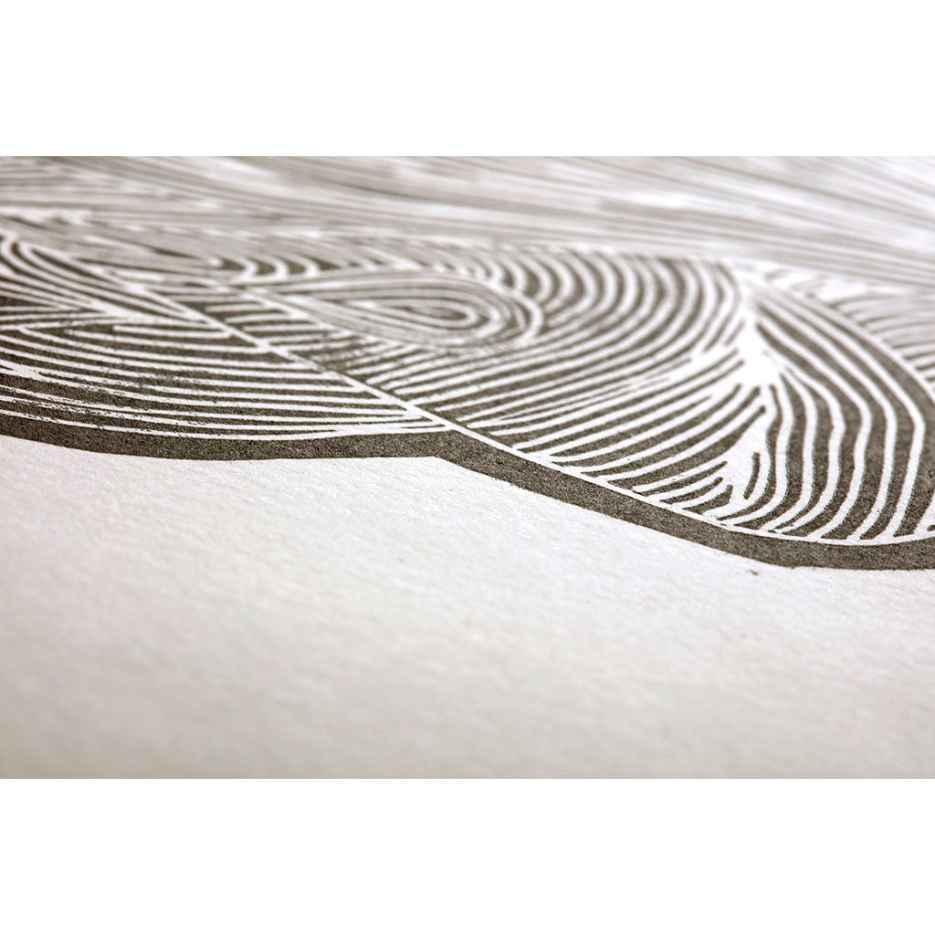 Fleur de Coton 24x30cm 250g, Pack of 25