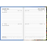 Collins Diary A72 Coastal Scenes Even Year