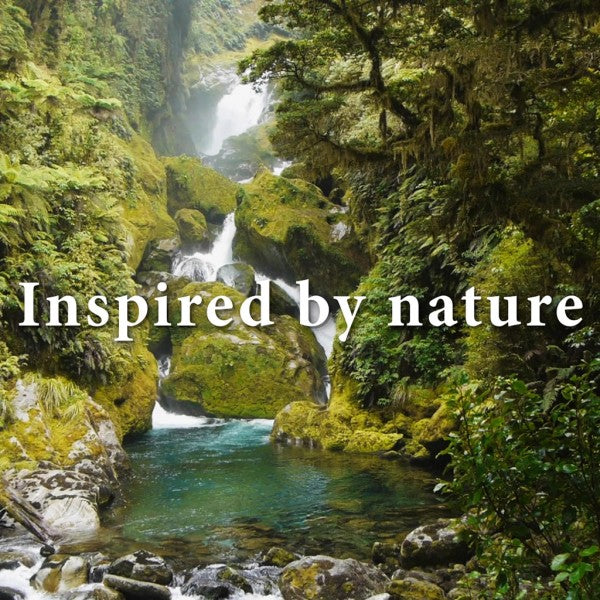 Piwari Manuka Honey Body Lotion (280) - Cafe Supply