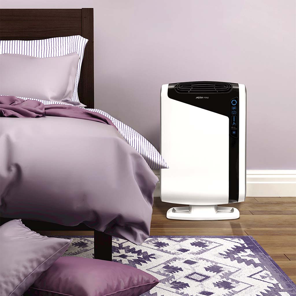 AeraMax DX95 Personal Air Purifier