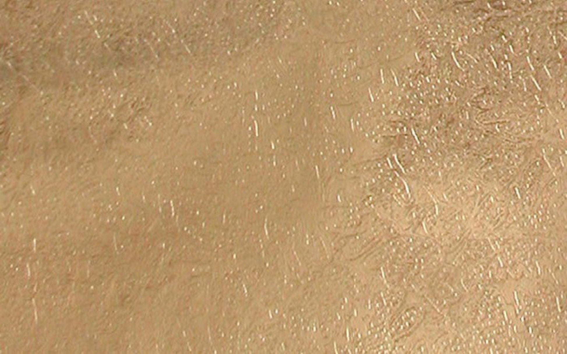 Cakeboard Paper Fern Leaf Gold 500mm (30m) - Cafe Supply