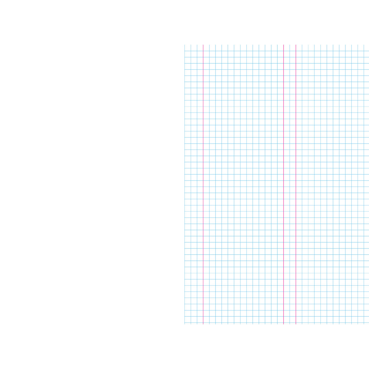 Warwick My Maths Book 2 7mm Quad Alternating Pages
