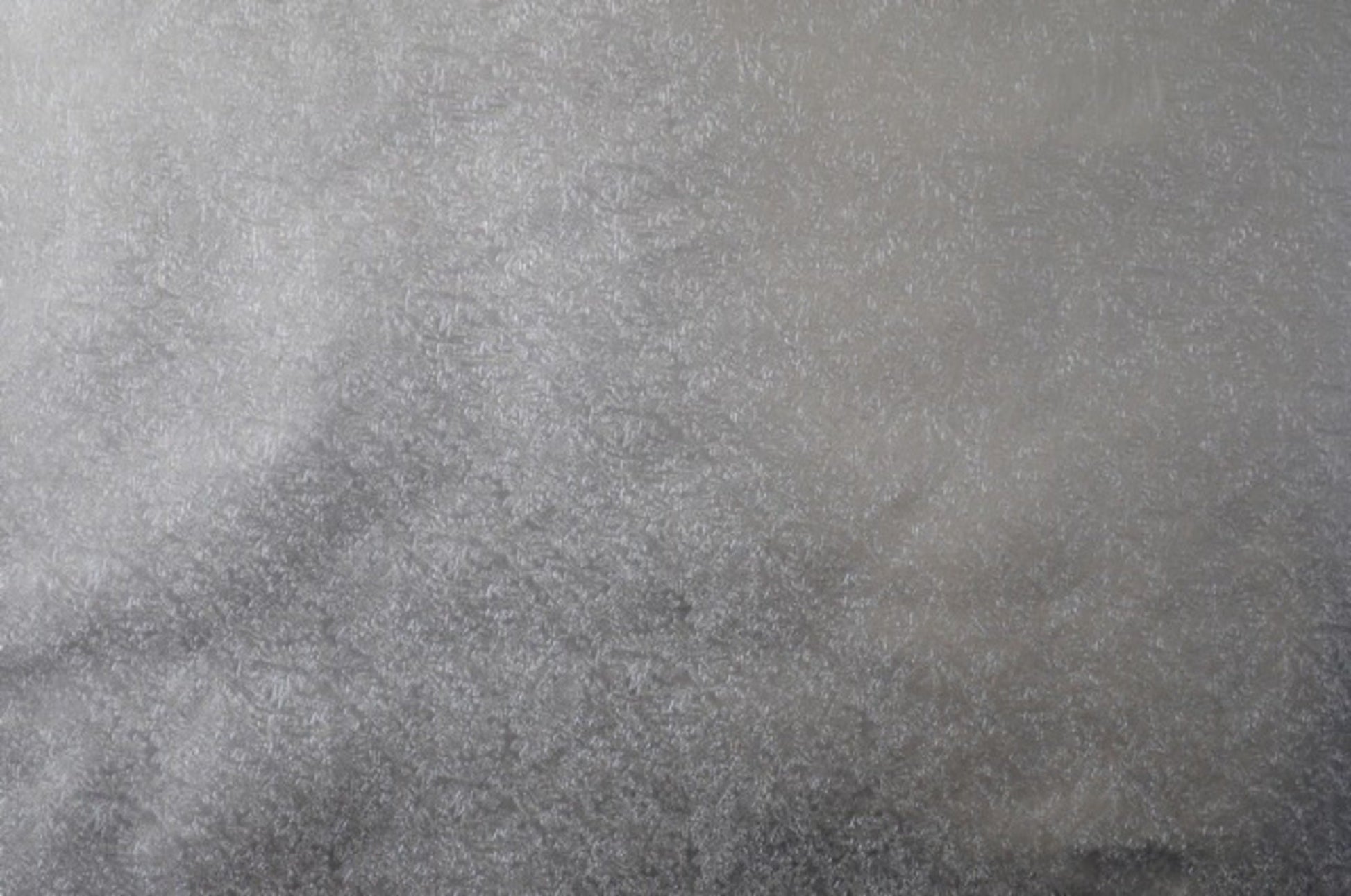 Cakeboard Paper Fern Leaf Silver 500mm (30m) - Cafe Supply