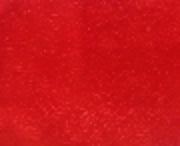Cakeboard Paper Red Fern Leaf 510mm (10m) - Cafe Supply