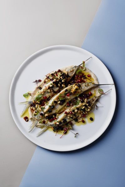 Royal Porcelain White Album Round Flared Coupe Plate 24cm