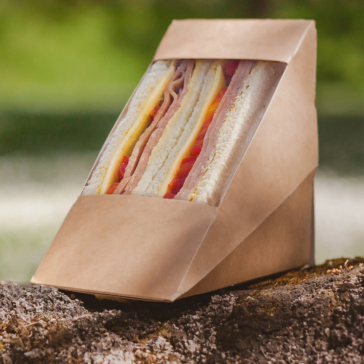 Green Choice Sandwich Box Kraft PLA - Medium
