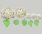 5 Single Peonies With Leaves, White, Assorted Sizes - Cafe Supply