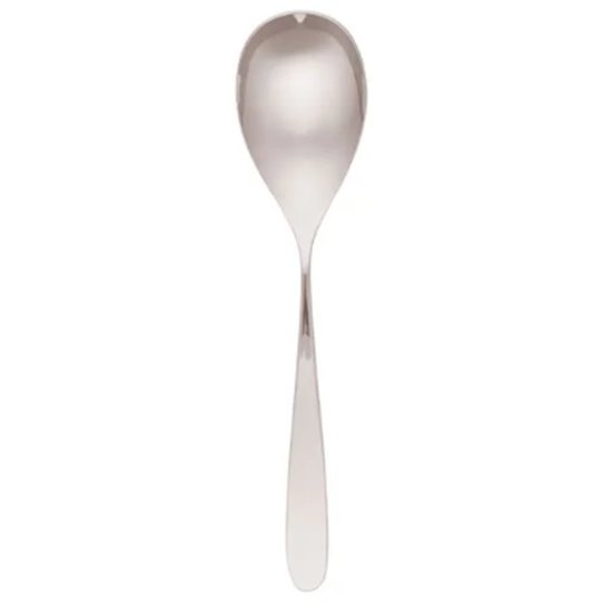 Alaska Buffet Spoon - Cafe Supply