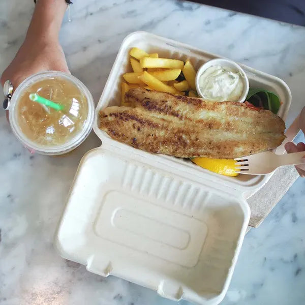 23x15x8cm / 9x6x3in Natural Plant Fibre Clamshell