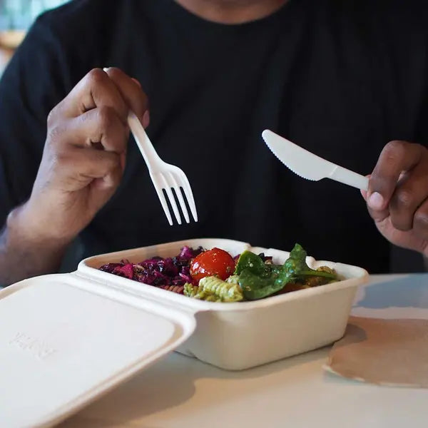 16.5cm / 6.5" PLA Knife - Cafe Supply