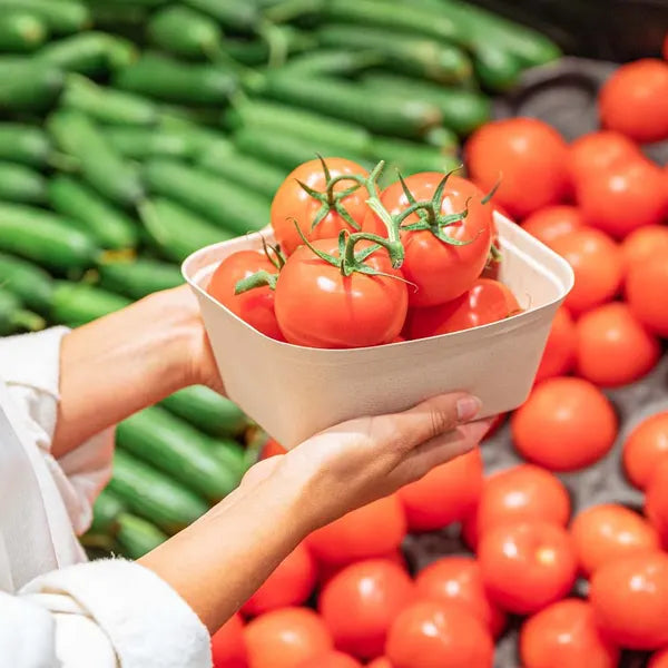 1kg Plant Fibre Punnet