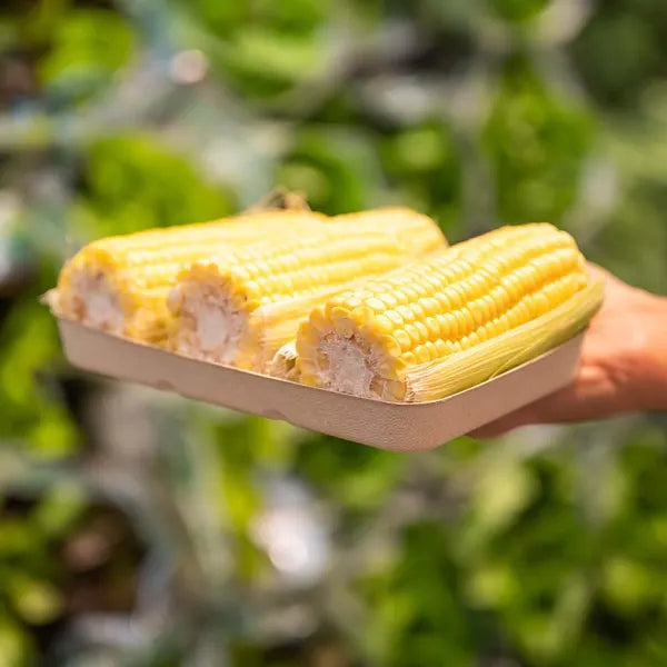 480g Plant Fibre Produce Tray