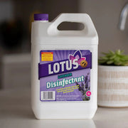 Disinfectant Lavender 5L - Cafe Supply